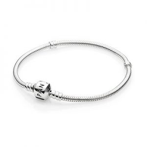 Pandora Charm Bracelet