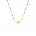 14K YELLOW GOLD WHITE POTATO PEARL NECKLACE