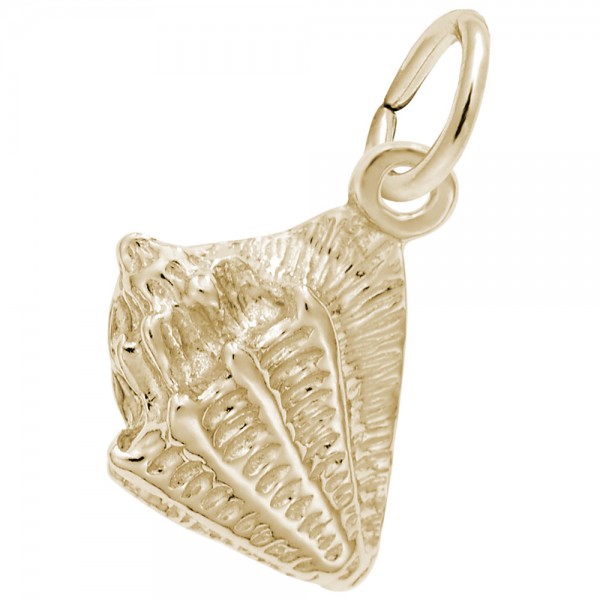 https://www.hudsonpoole.com/upload/product/0626-Gold-Conch-Shell.jpg